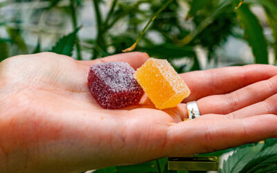 Edibles: A Tasty Trip