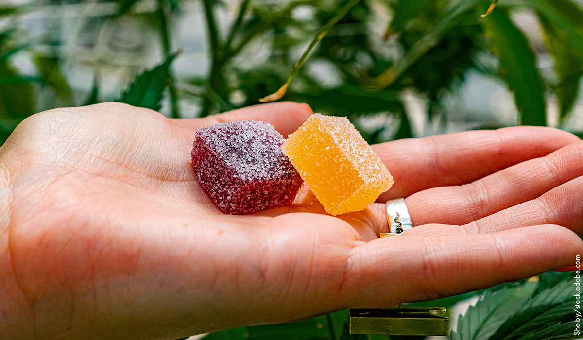 Edibles: A Tasty Trip