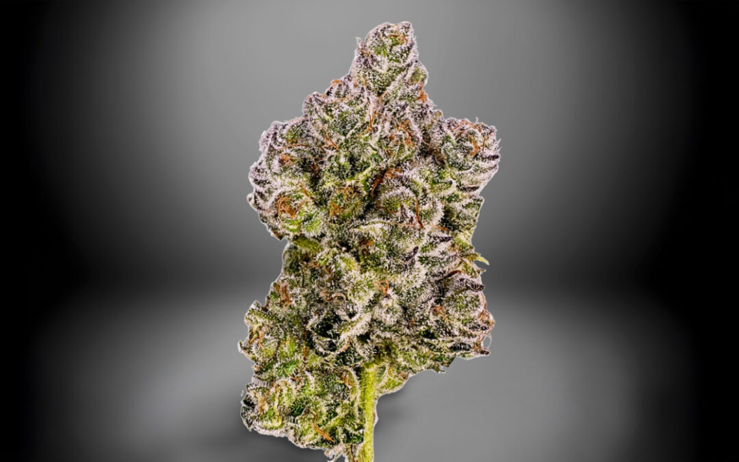 Valentine Strain: Pillow Talk