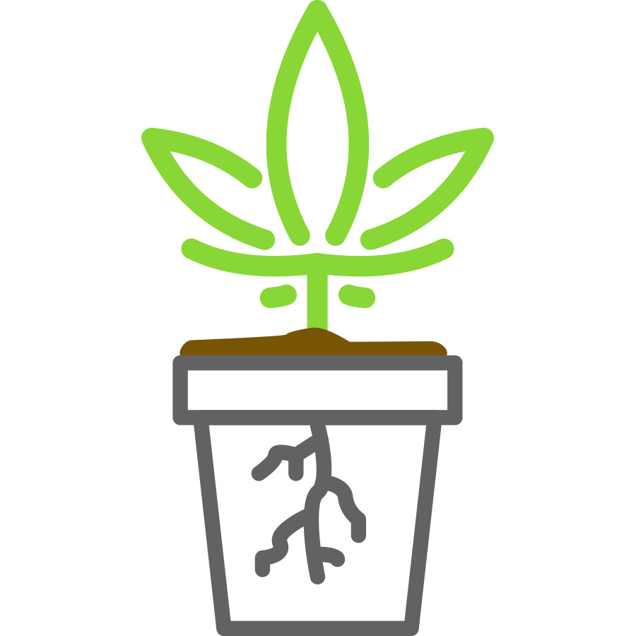 Soil grow icon