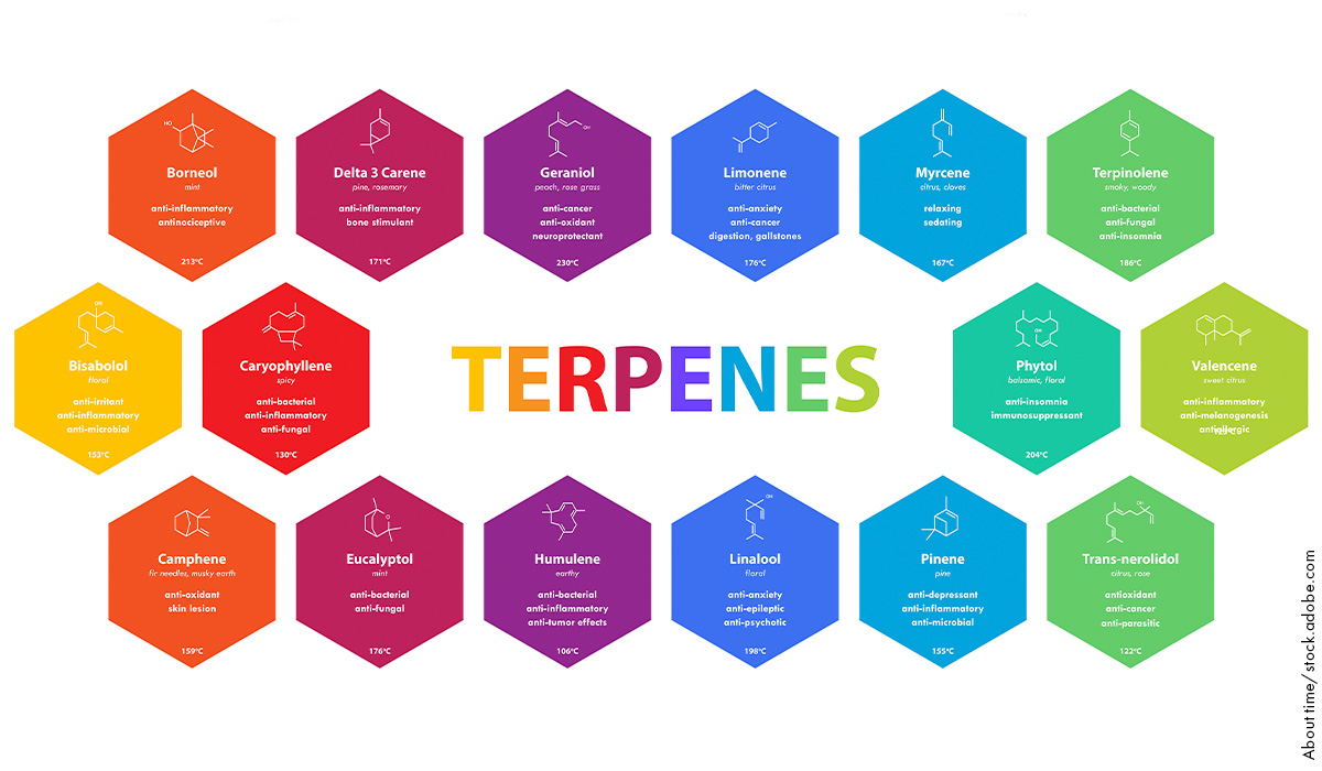 terpenes