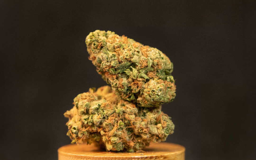 Strain of the Week: Black Cherry Punch