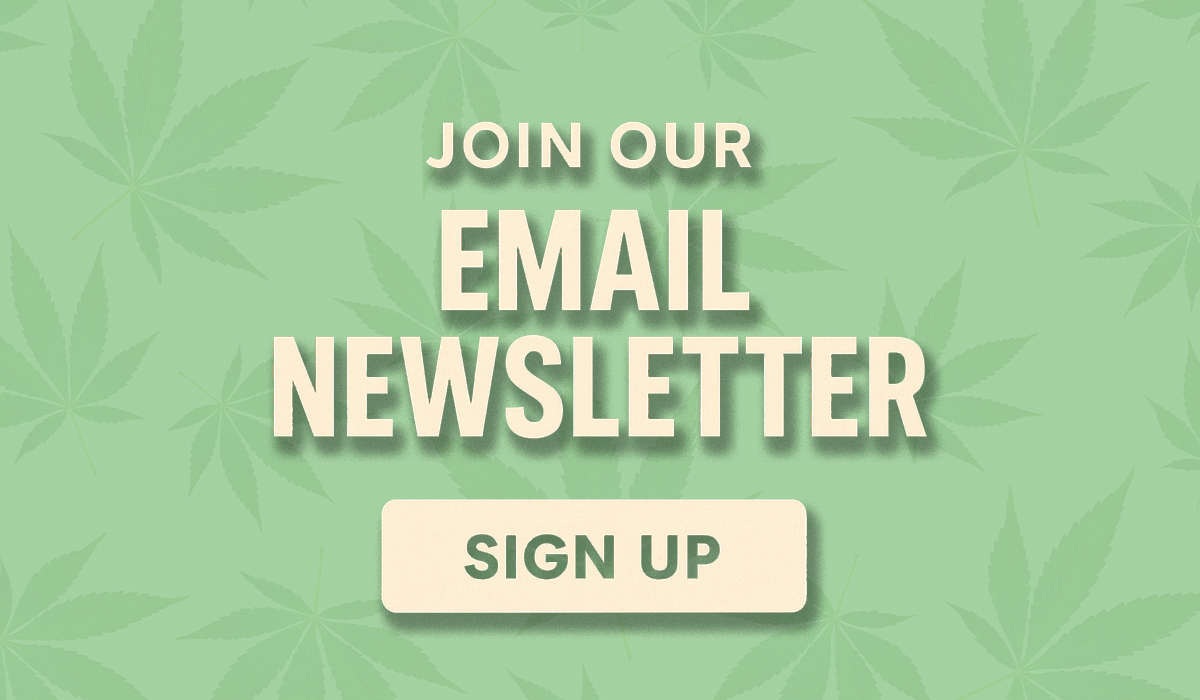 ACT-Newsletter-web Newsletter